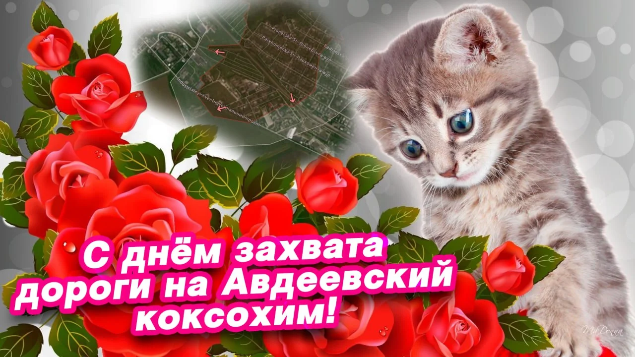 Изображение к публикации