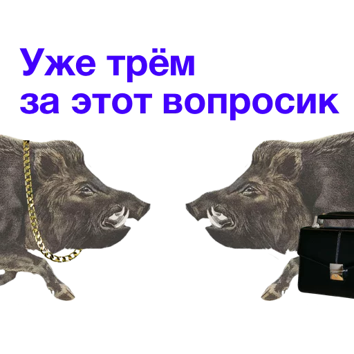 👥