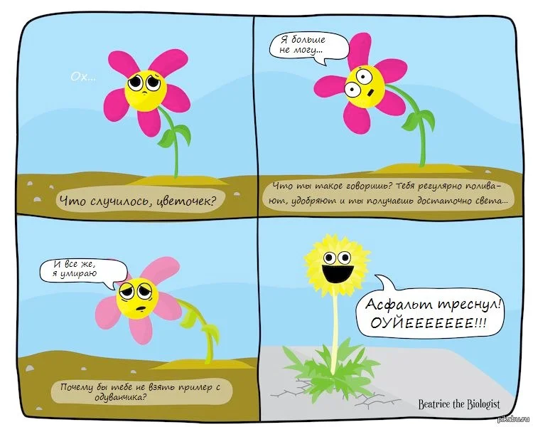 Изображение к публикации