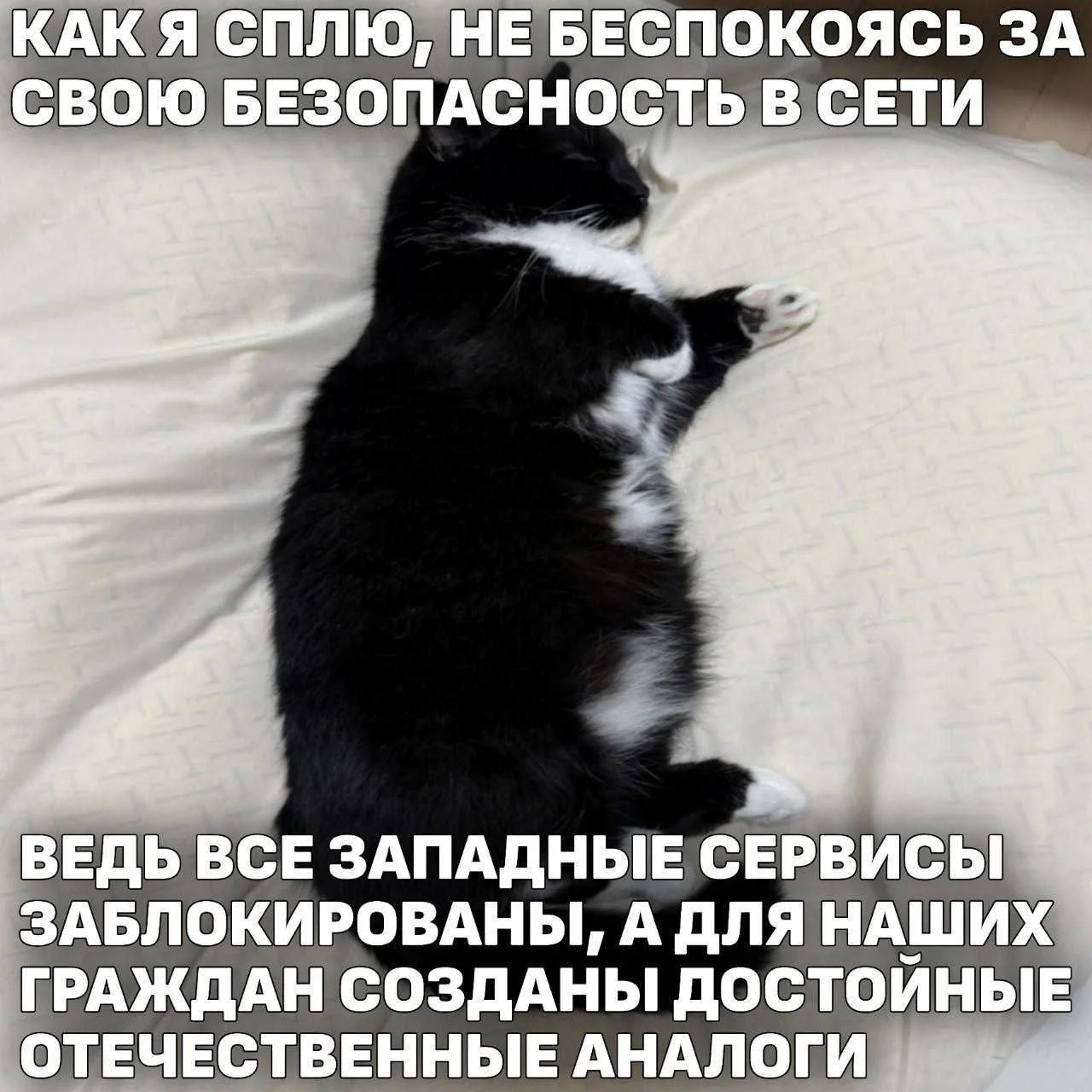 Изображение к публикации