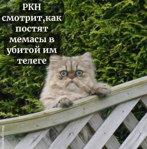 Изображение к публикации