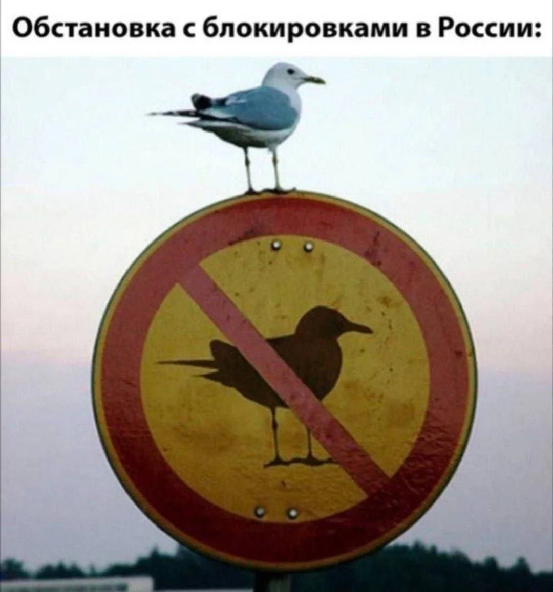 Изображение к публикации