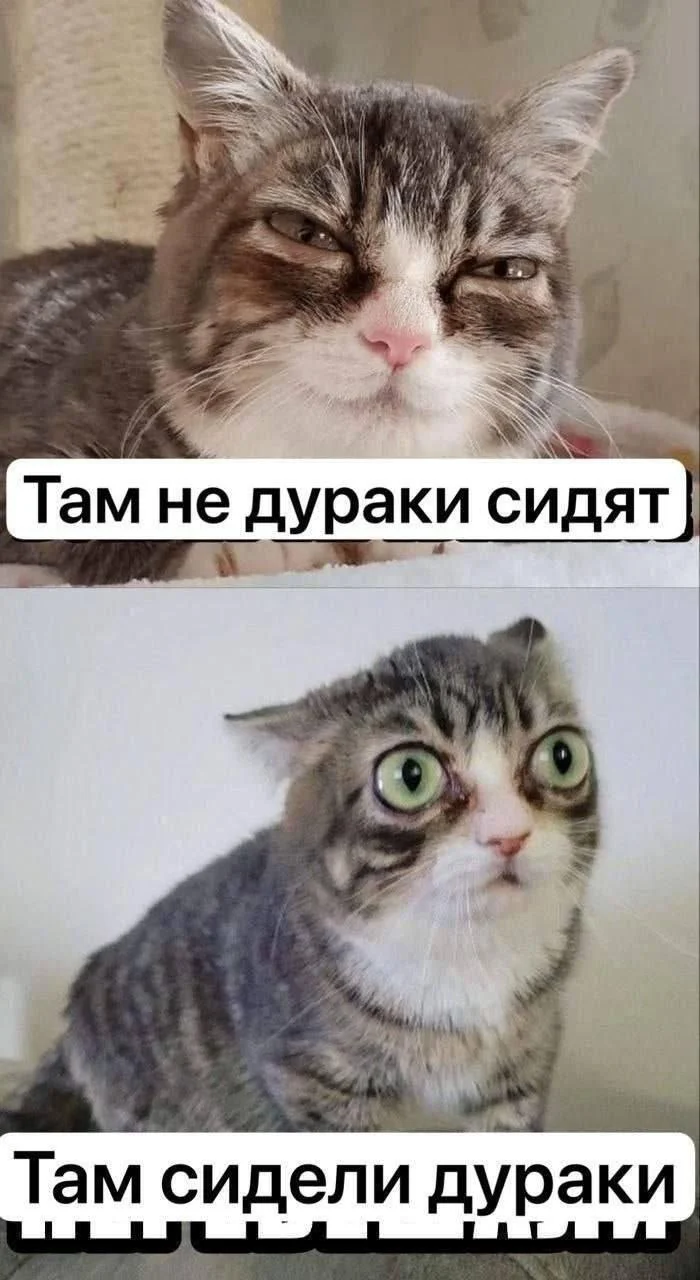 Изображение к публикации