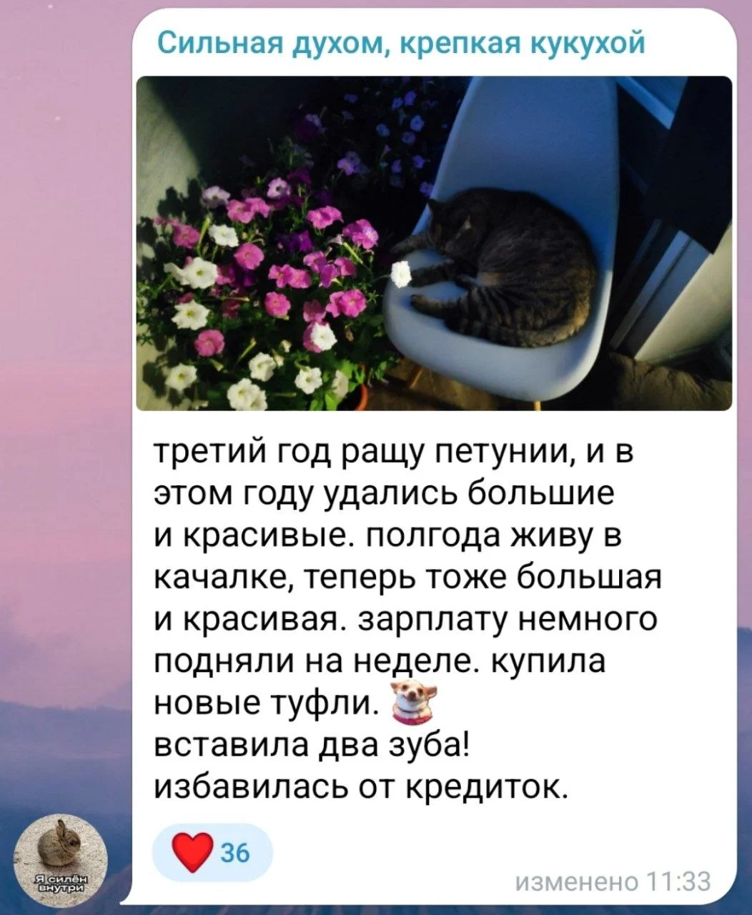 Изображение к публикации