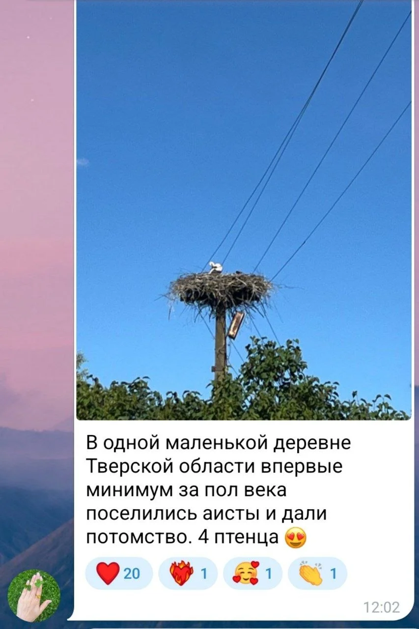 Изображение к публикации