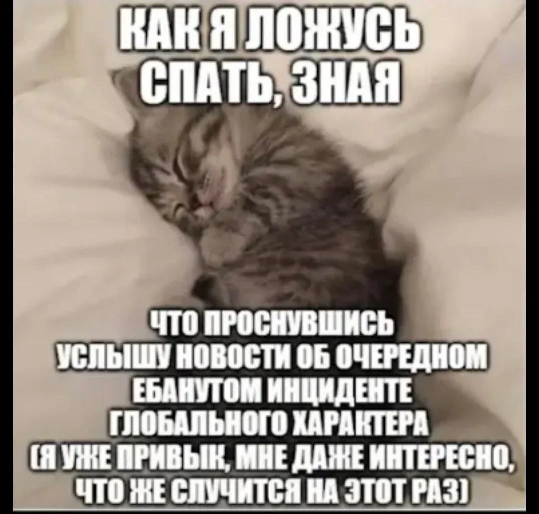Изображение к публикации
