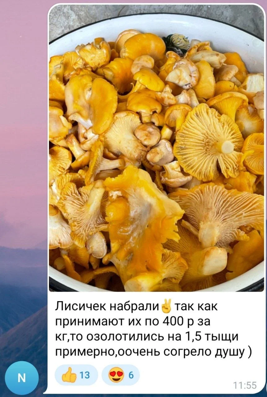 Изображение к публикации