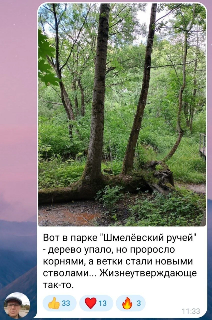 Изображение к публикации