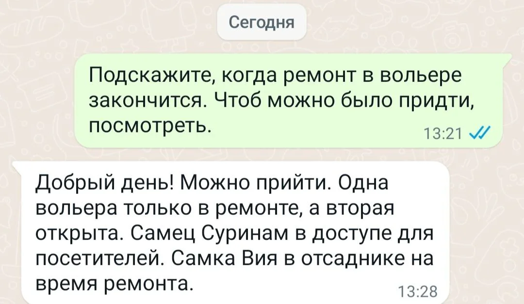 Изображение к публикации