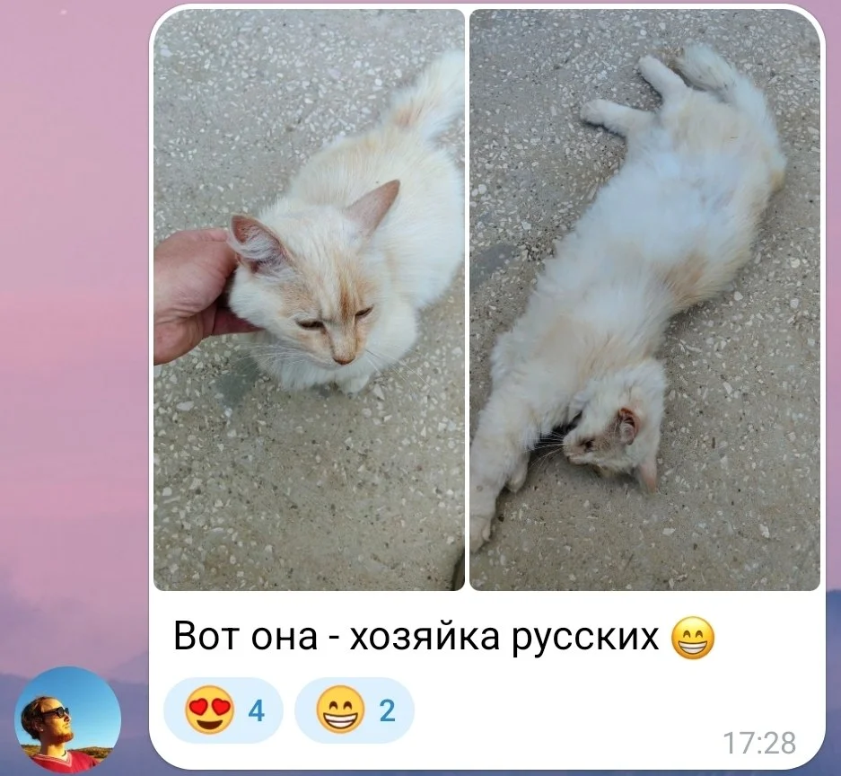 Изображение к публикации