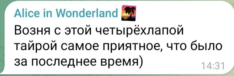 Изображение к публикации