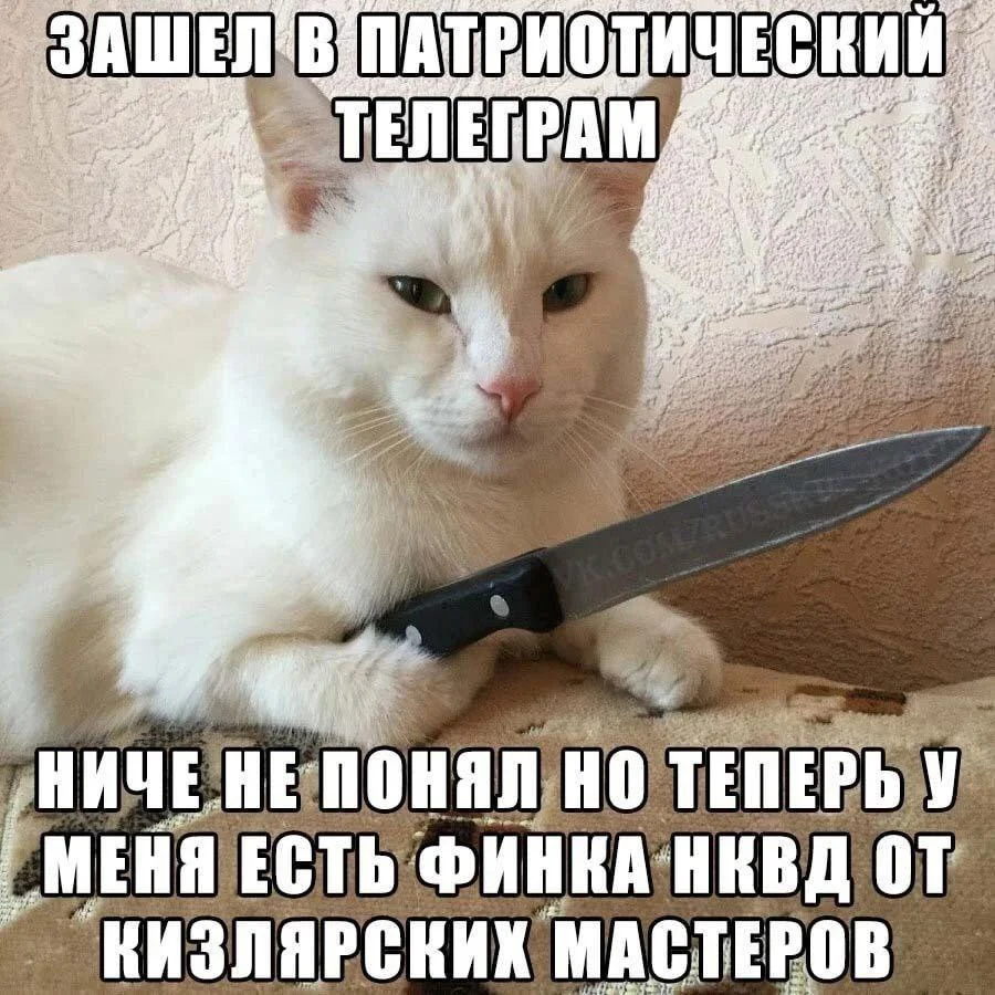 Изображение к публикации