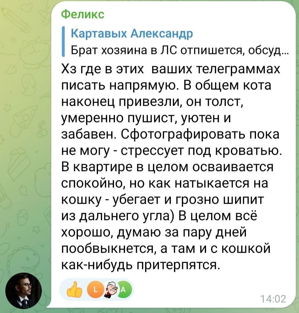 Изображение к публикации