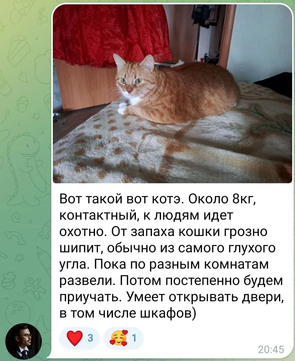 Изображение к публикации