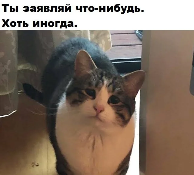 Изображение к публикации