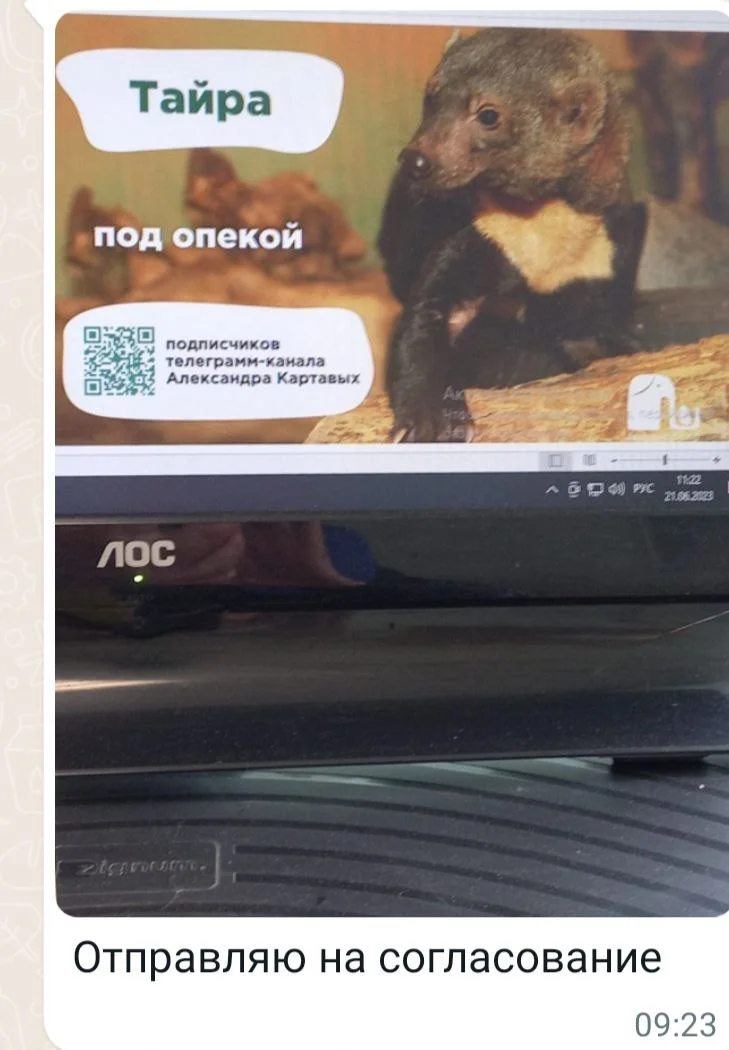 Изображение к публикации