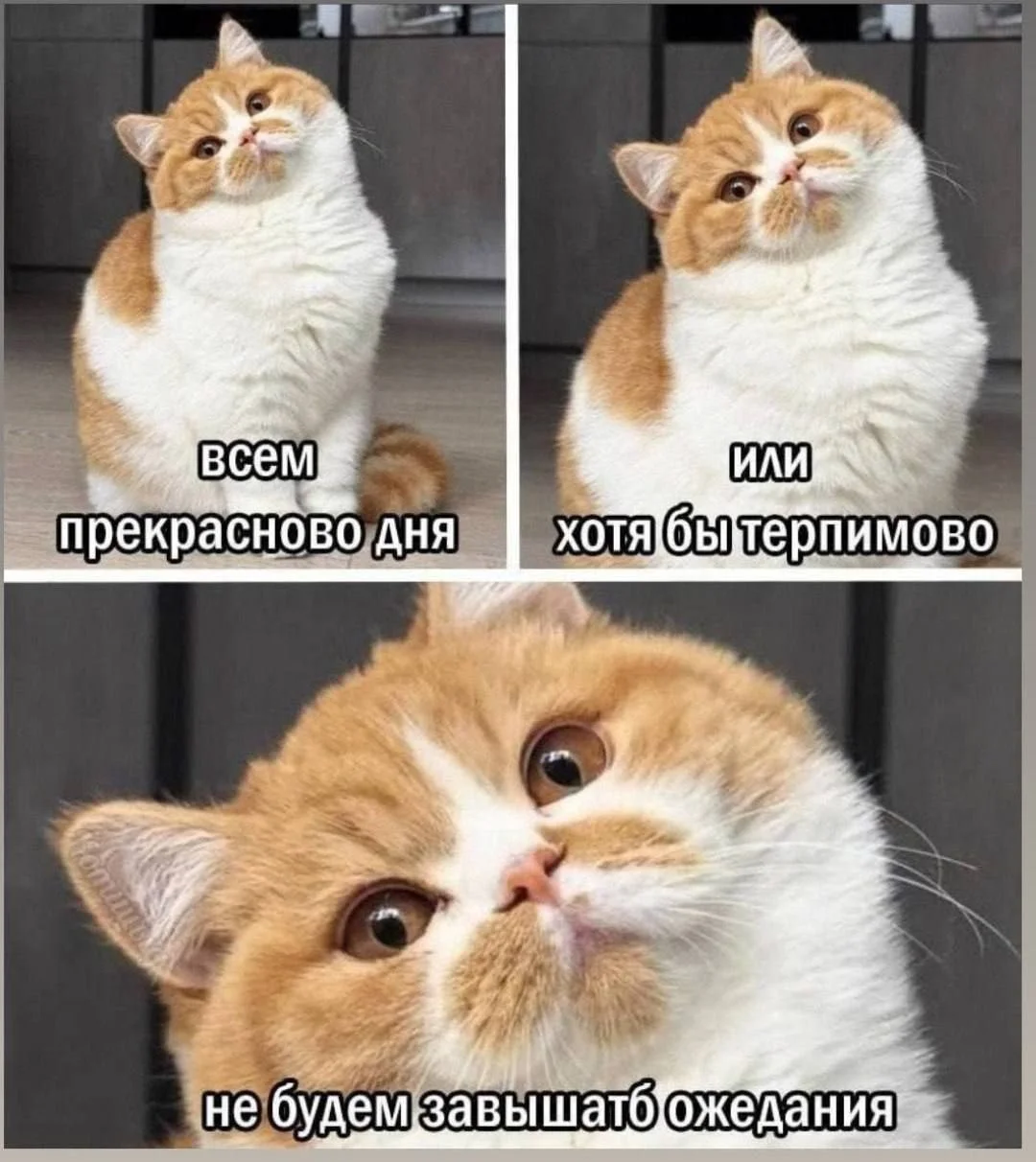 Изображение к публикации