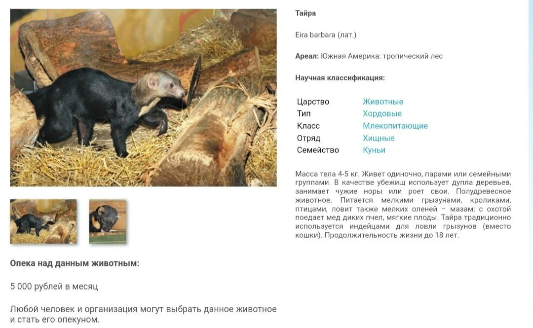 Изображение к публикации