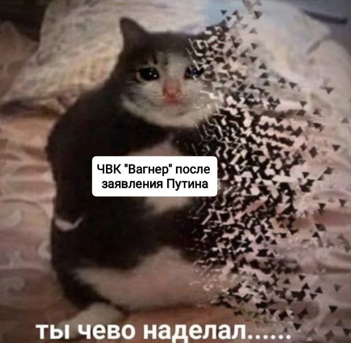 Изображение к публикации