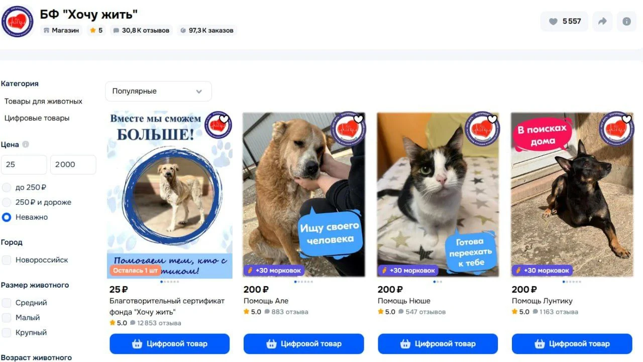 Изображение к публикации