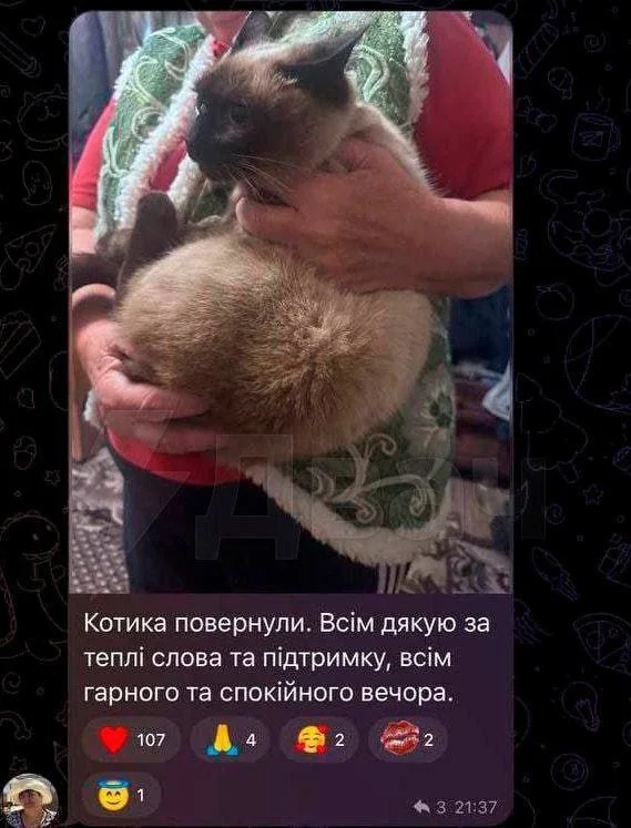 Изображение к публикации