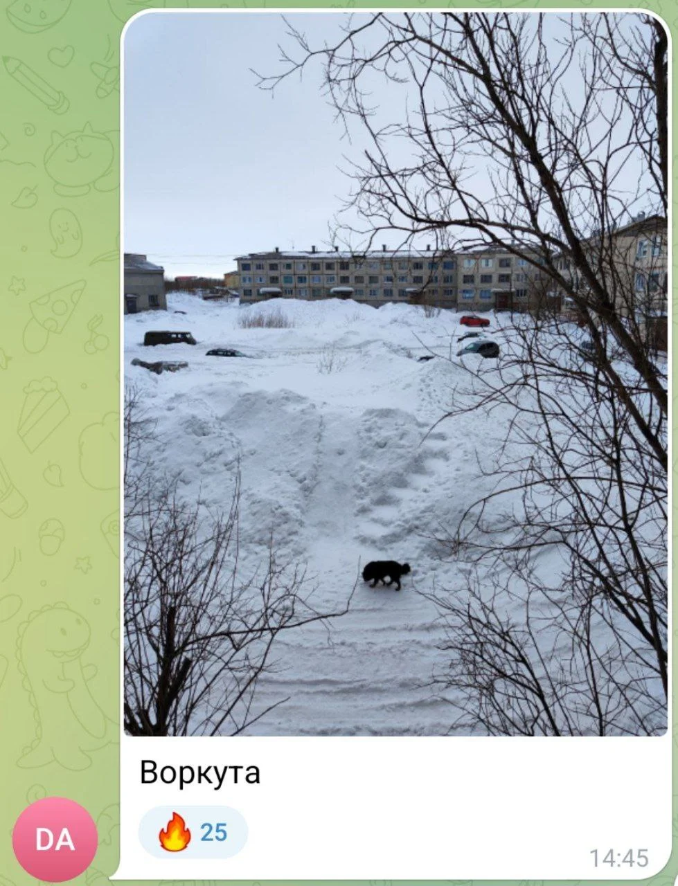Изображение к публикации