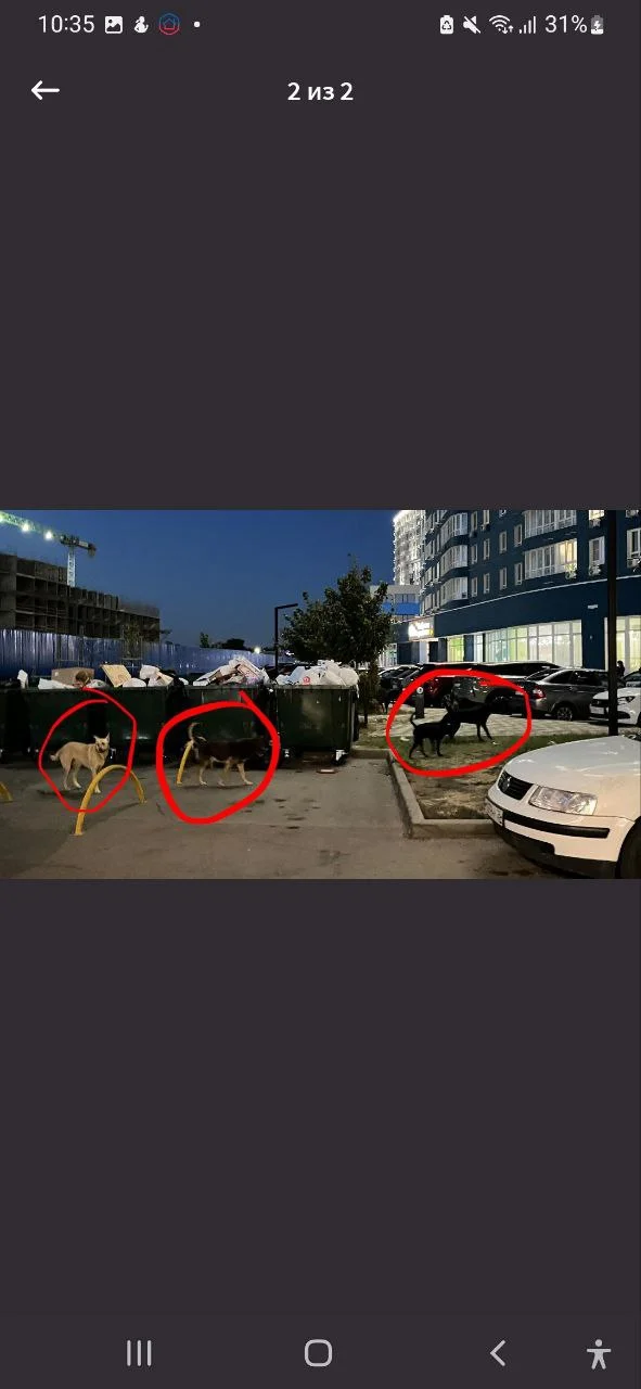 Изображение к публикации
