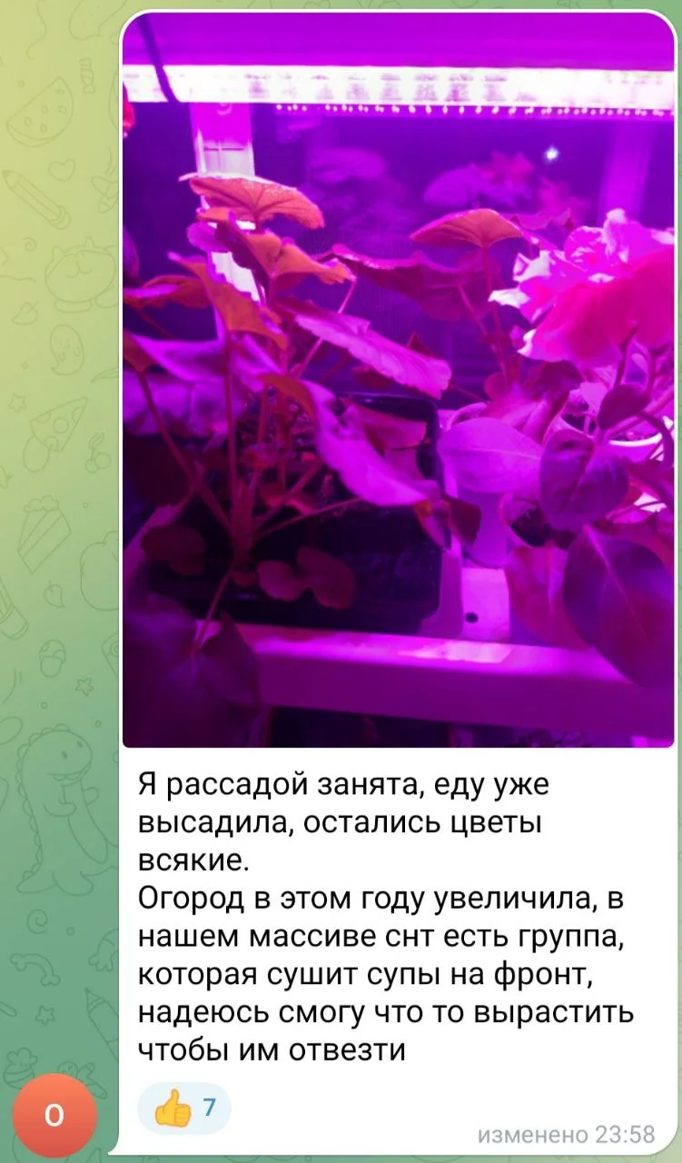 Изображение к публикации