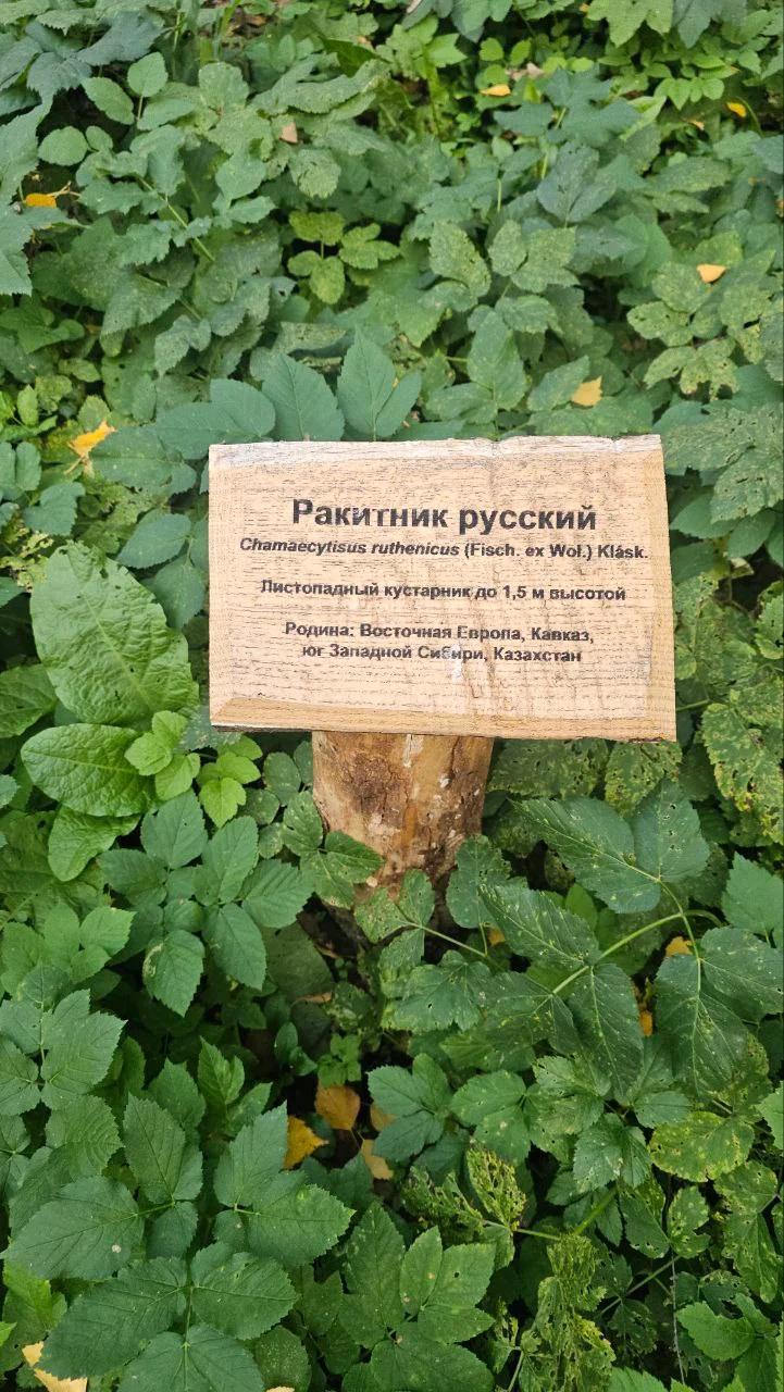 Изображение к публикации