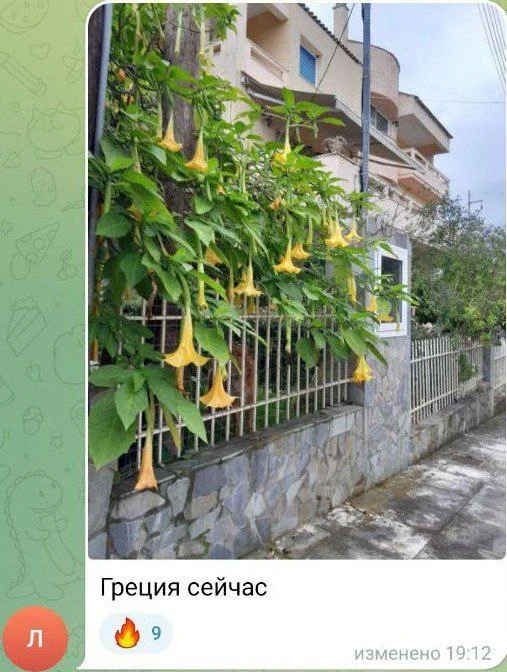 Изображение к публикации