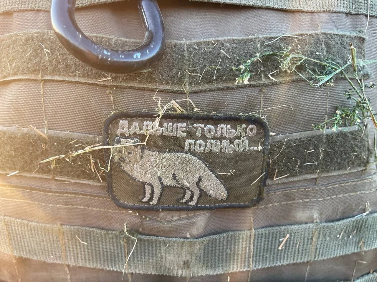 Изображение к публикации