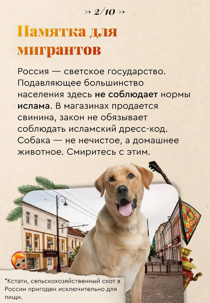 Изображение к публикации
