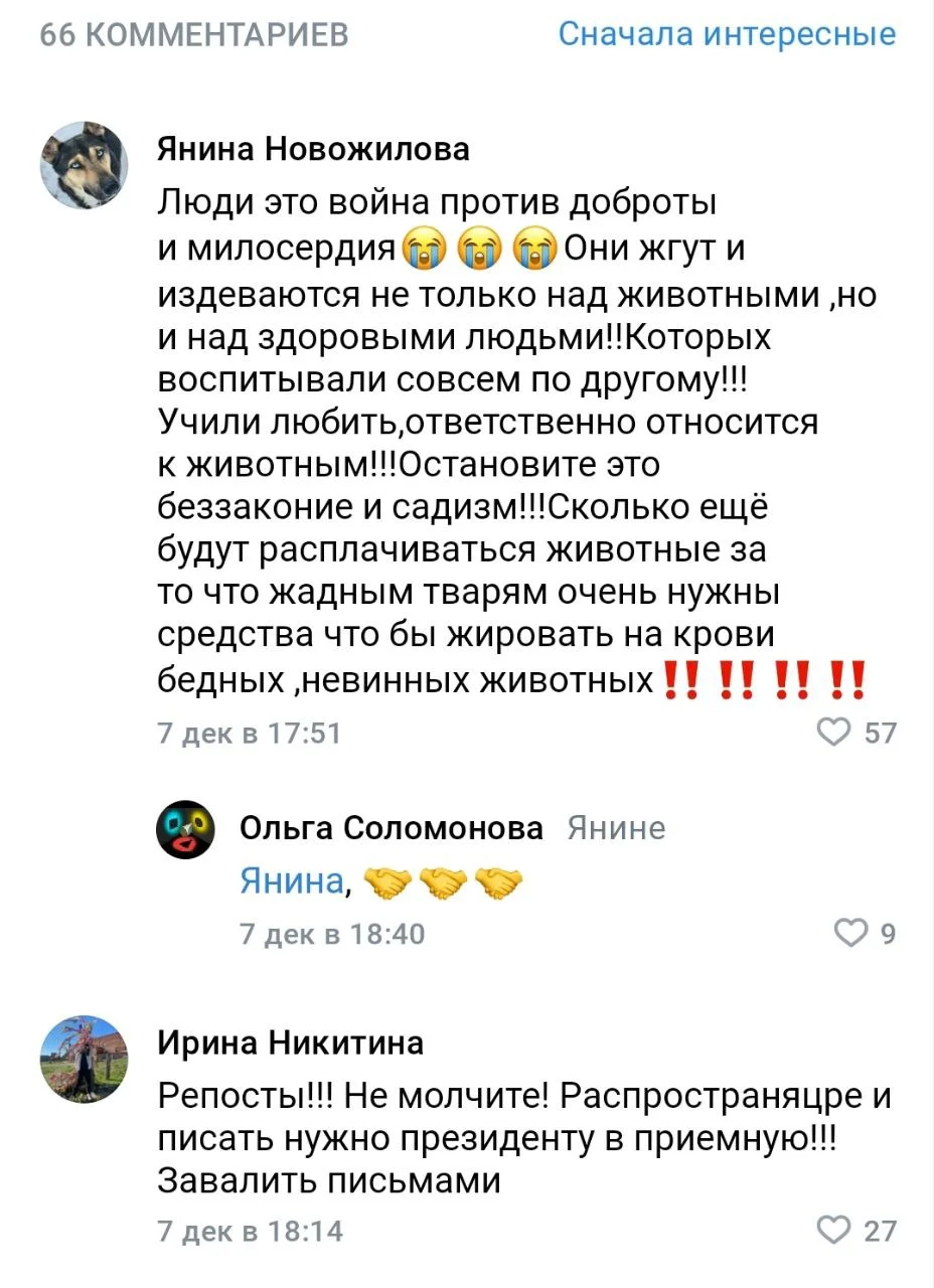 Изображение к публикации