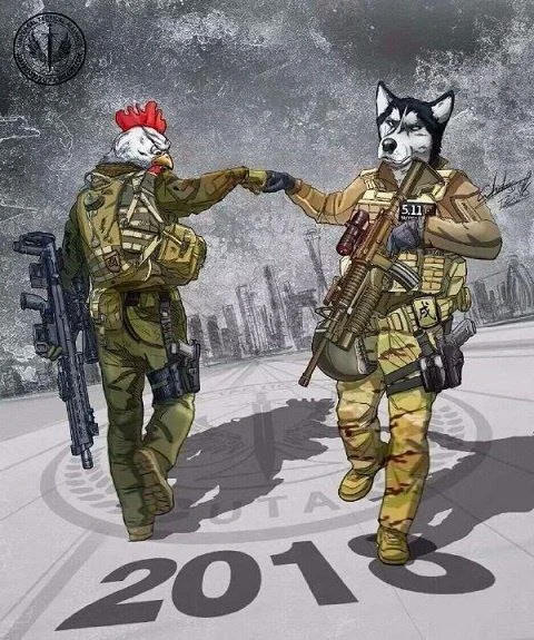 Изображение к публикации