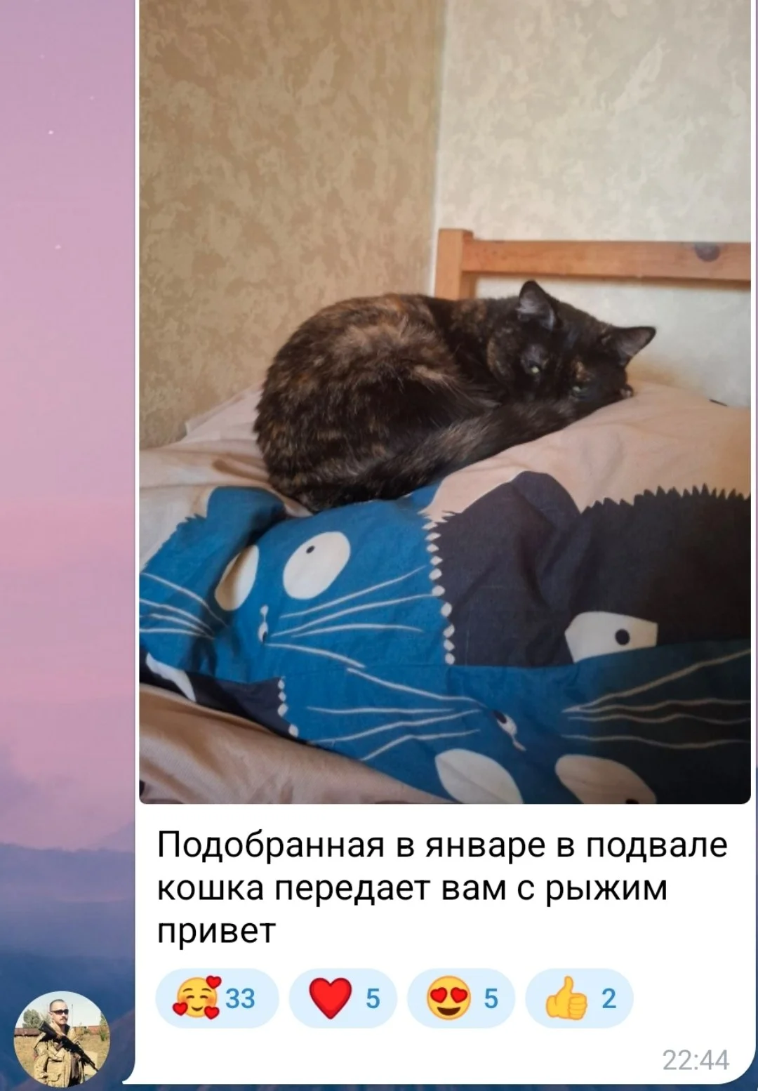Изображение к публикации