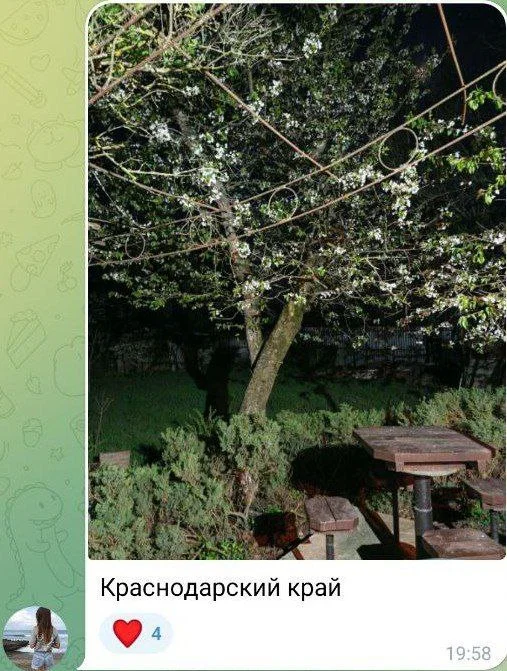 Изображение к публикации