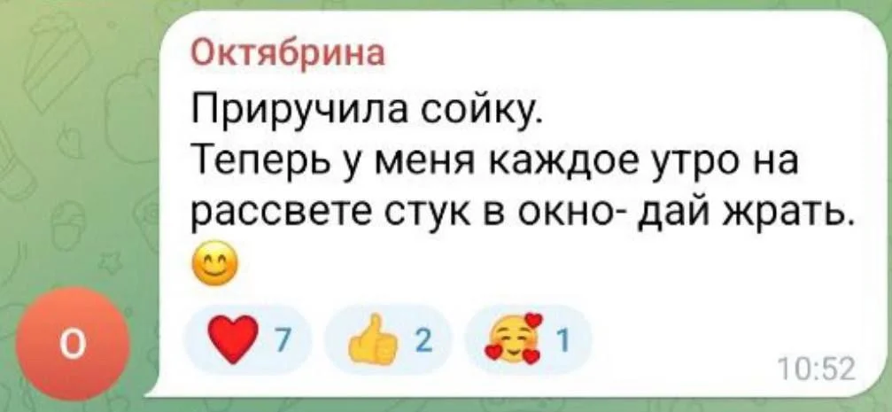 Изображение к публикации