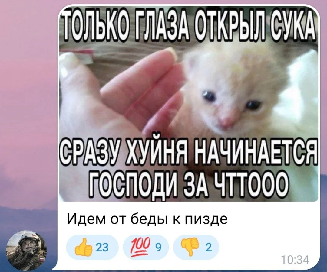 Изображение к публикации