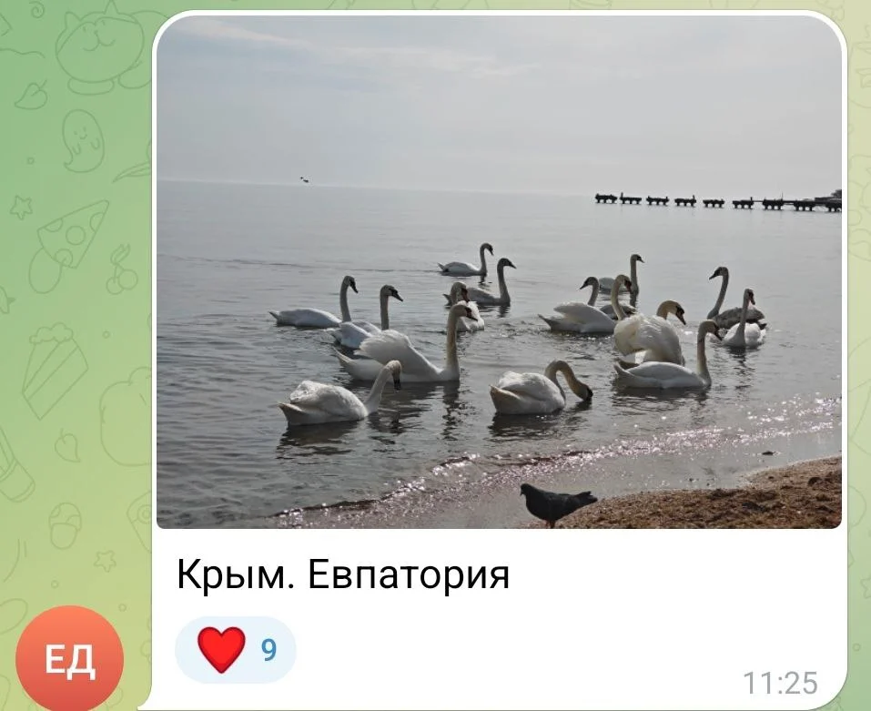 Изображение к публикации
