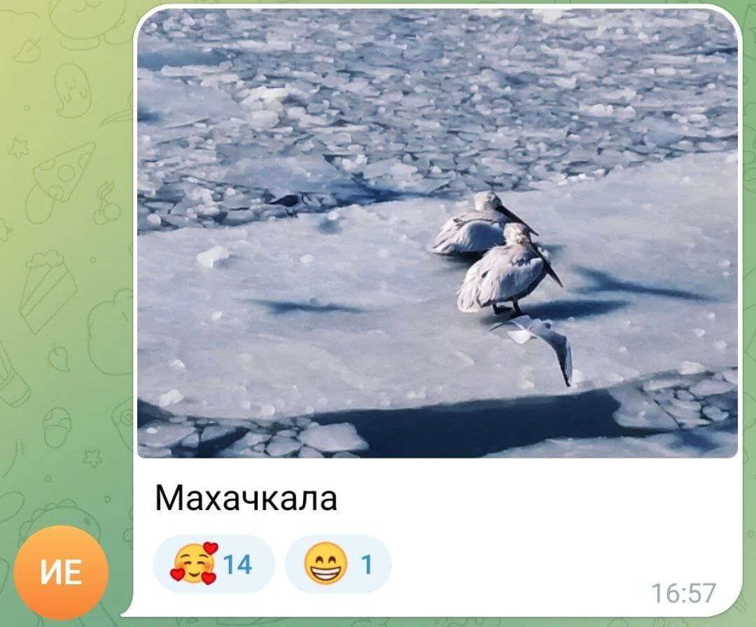 Изображение к публикации