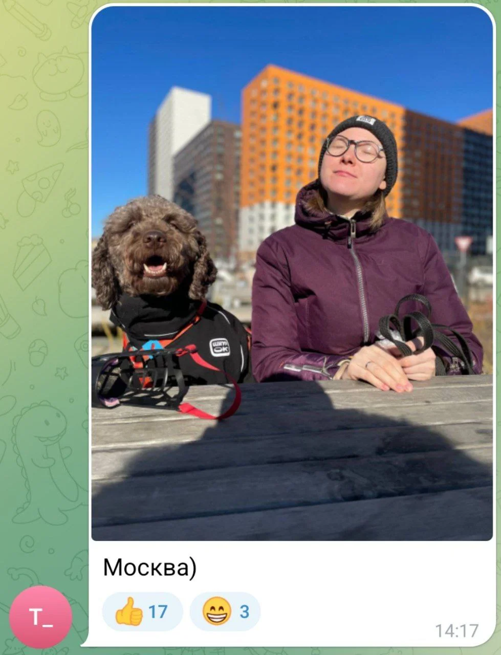 Изображение к публикации
