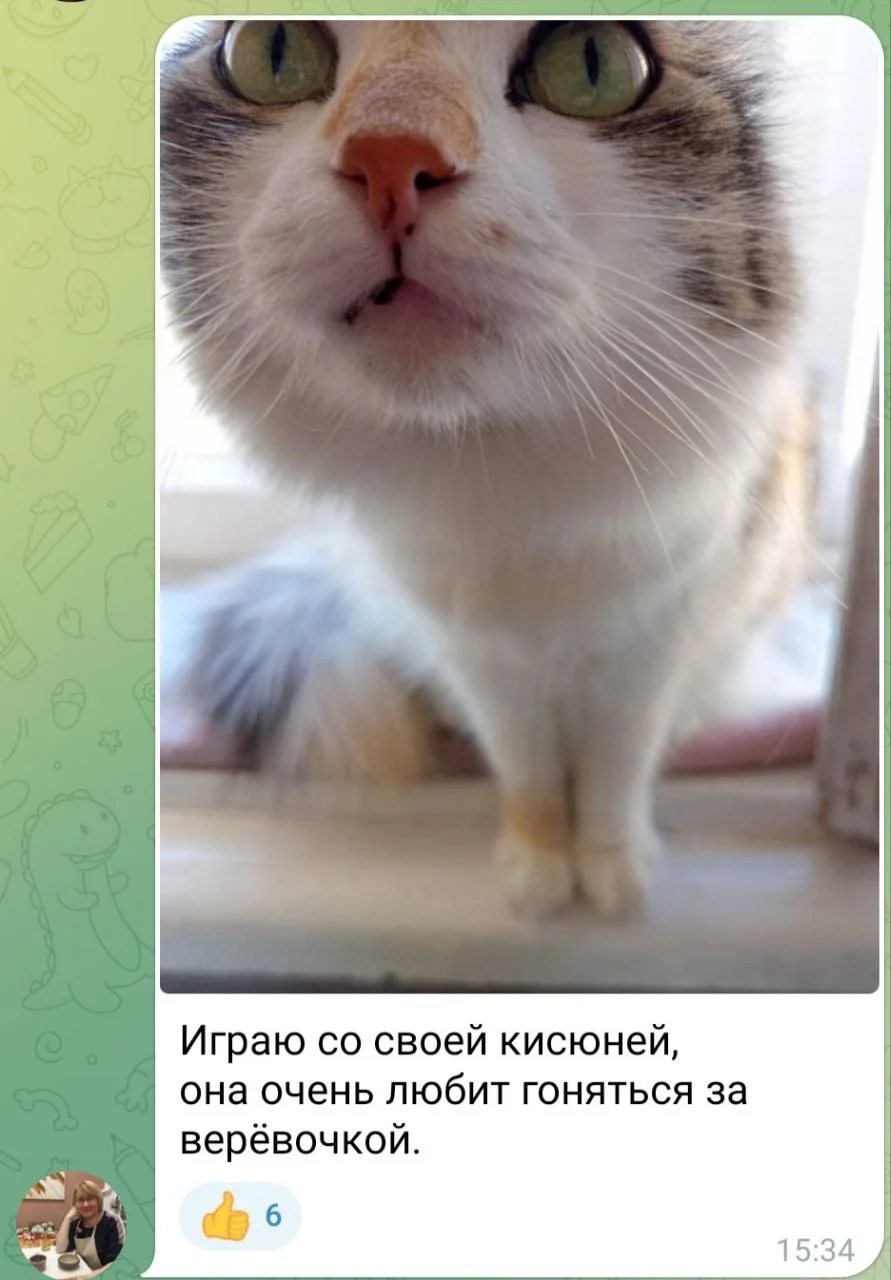 Изображение к публикации