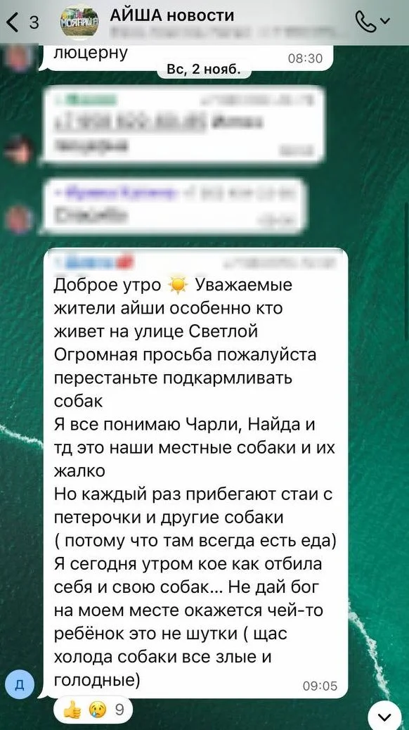 Изображение к публикации