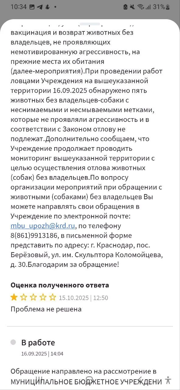 Изображение к публикации