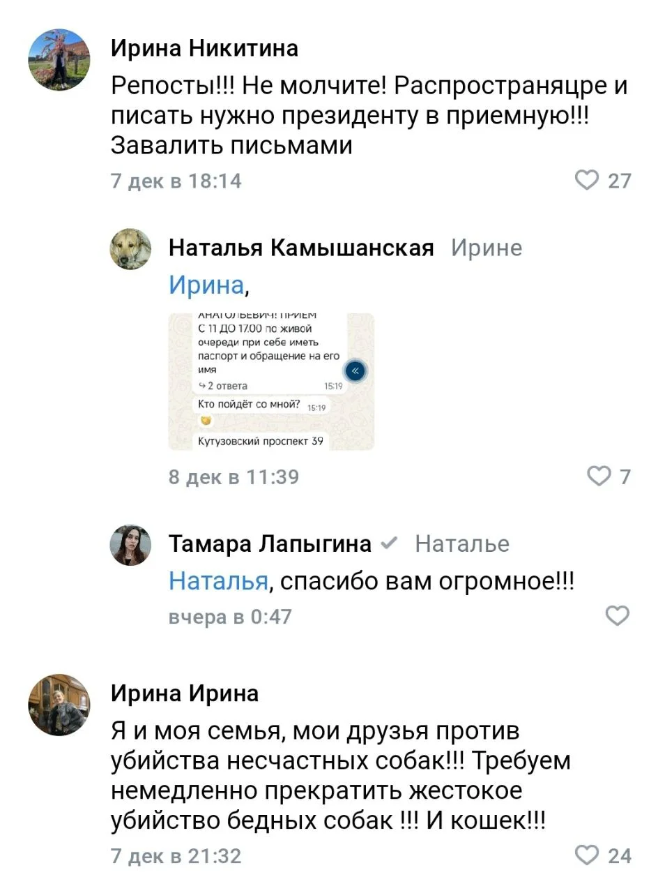 Изображение к публикации