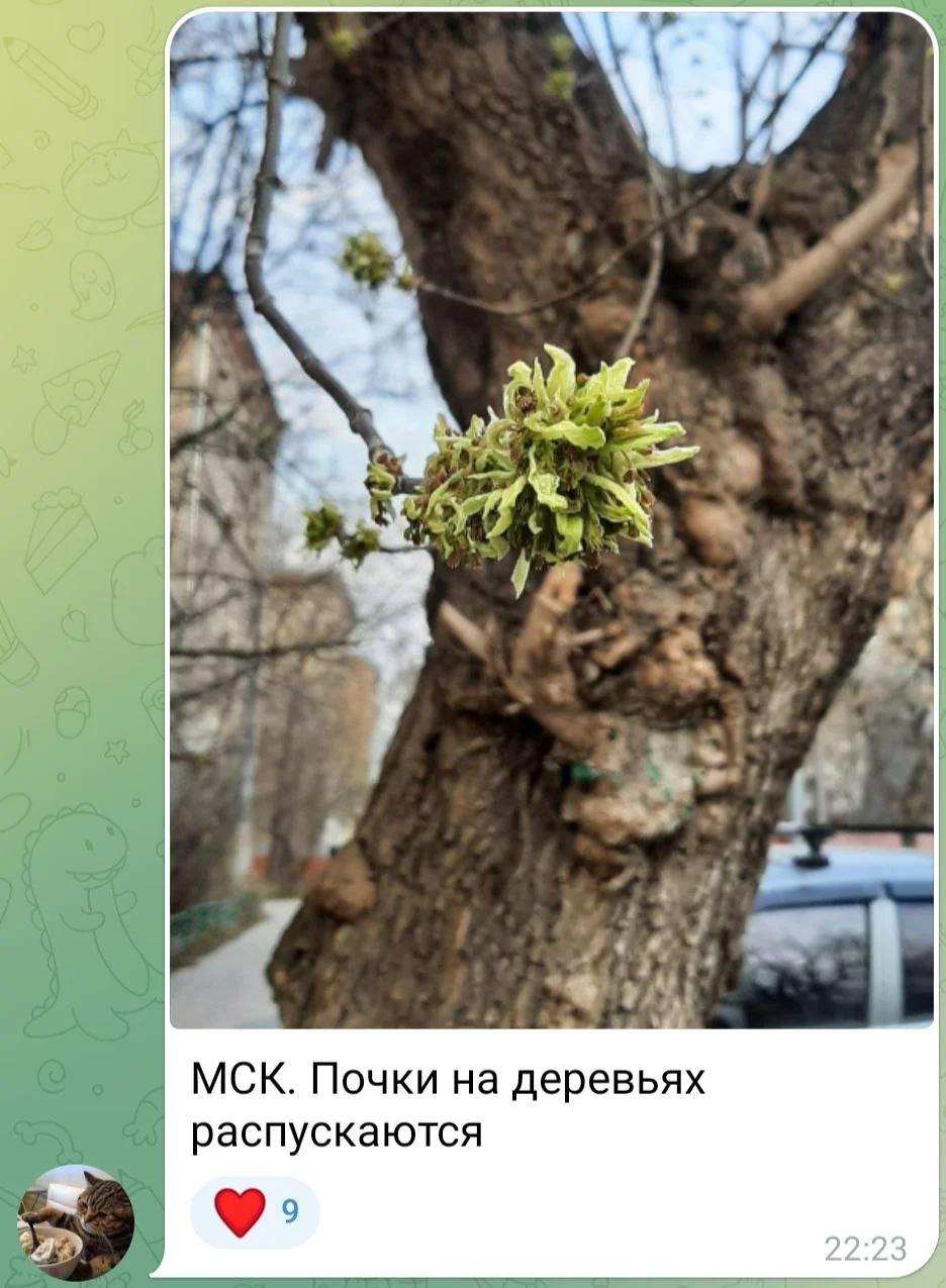 Изображение к публикации