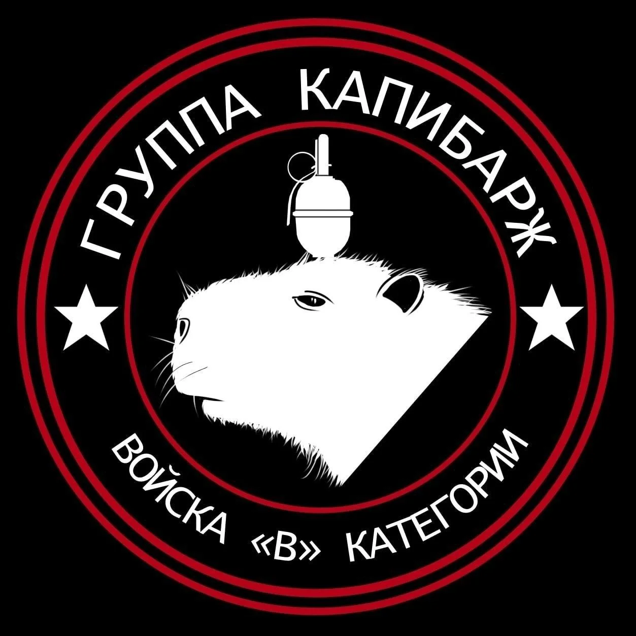 Изображение к публикации