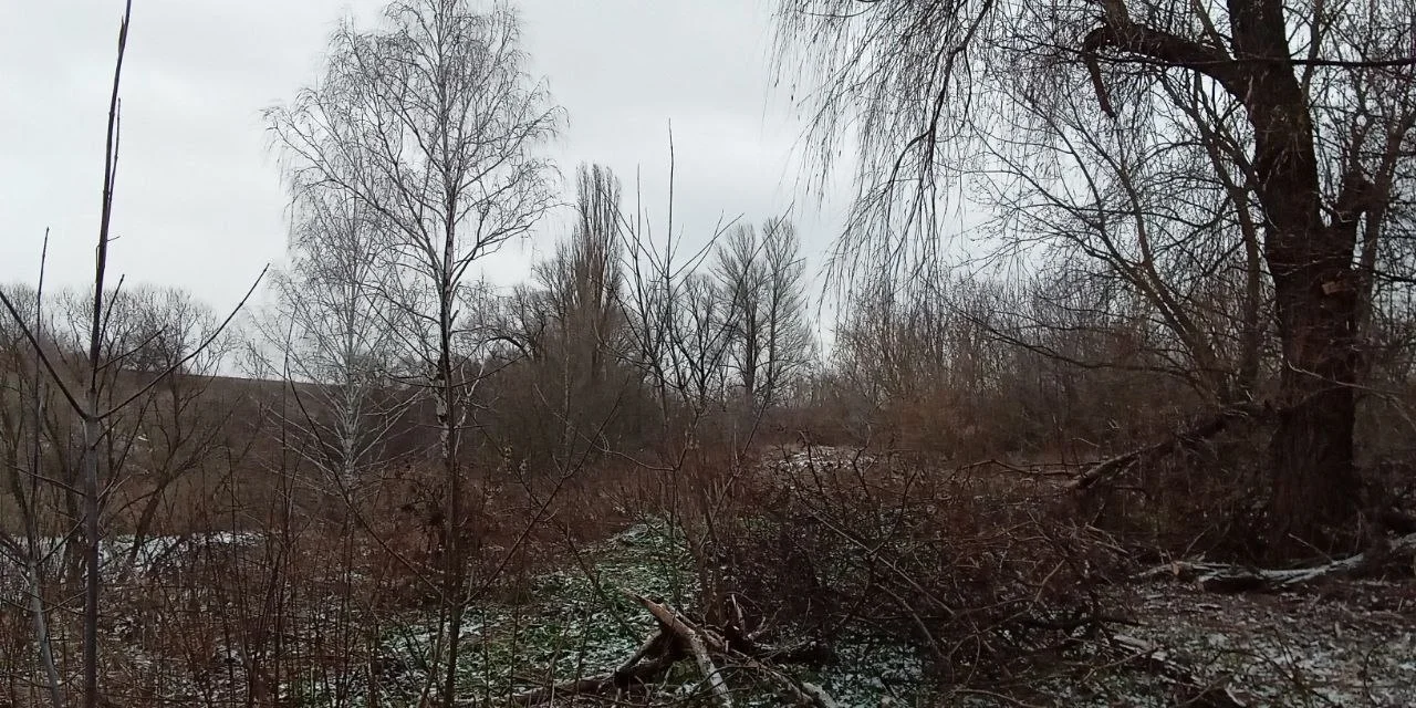 Изображение к публикации