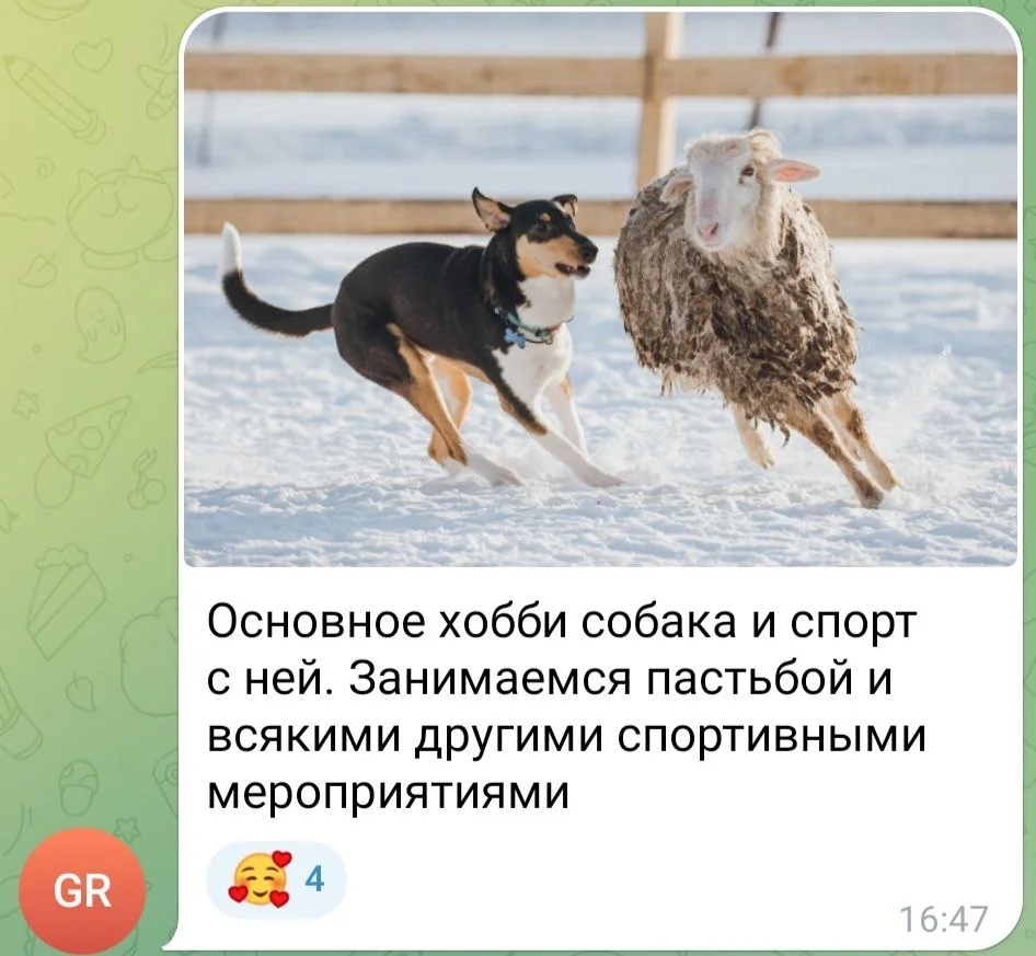 Изображение к публикации