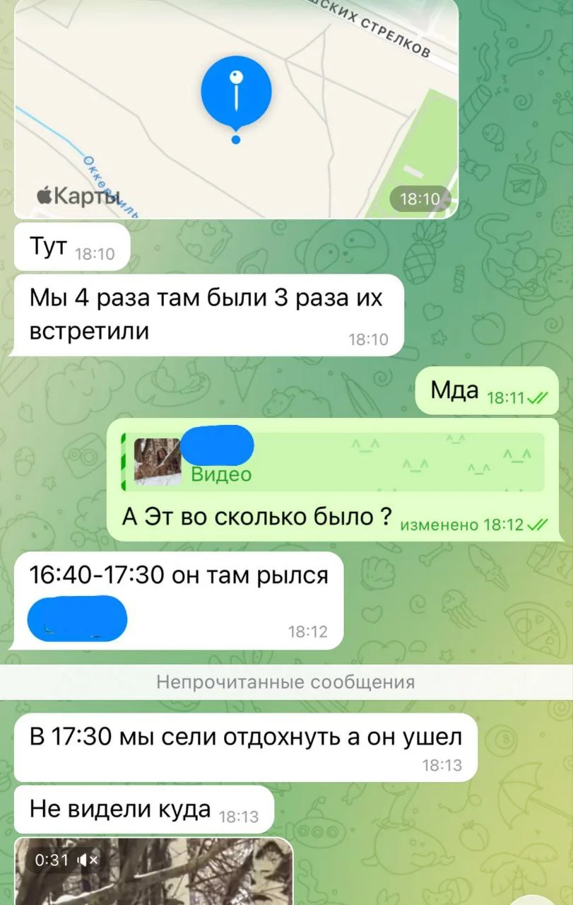Изображение к публикации